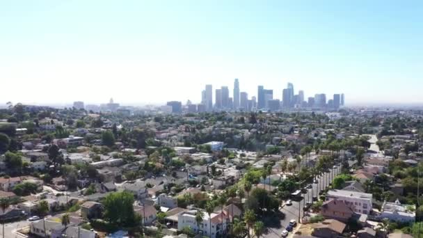 Beautiful Drone Shot Los Angeles California Showing City Palm Tree — 비디오