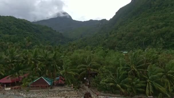 Amazing Beautiful Cinematic Forward View Showing Healthy Nature Environment Green — Video