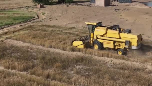 Aerial Drone View Combine Harvester Working Punjab Field Pakistan — Stock video