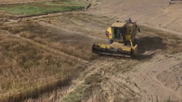 Aerial View Yellow Combine Harvester Turning Rural Punjab Field — Stockvideo