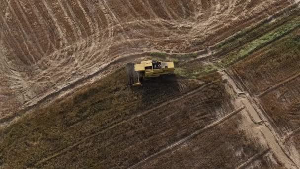 Overhead Aerial View Yellow Combine Harvester Working Punjab Field Pakistan — ストック動画