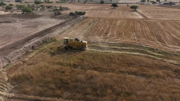 Aerial View Combine Harvester Working Punjab Field Pakistan — стоковое видео