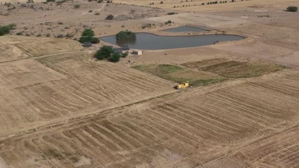 Aerial High Angle View Yellow Combine Harvester Working Rural Punjab — стоковое видео