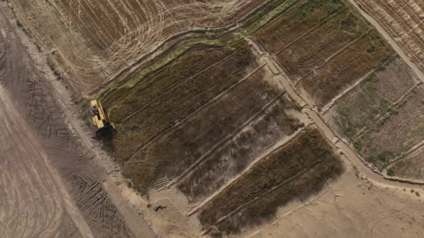 Overhead Aerial View Combine Harvester Working Punjab Field Pakistan — Video Stock