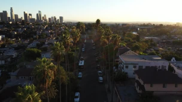 Beautiful Drone Shot Neighborhood Los Angeles California Showing Palm Trees — 비디오