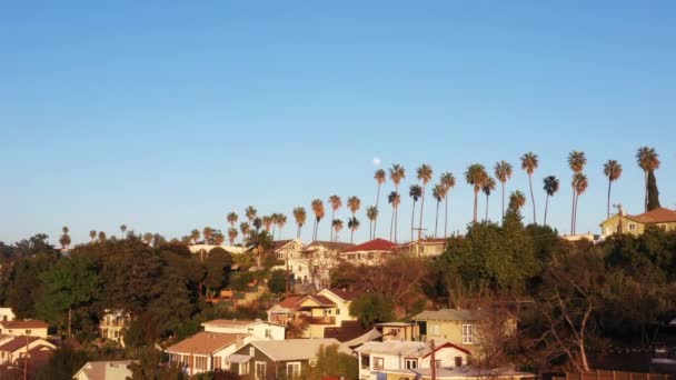 Beautiful Golden Hour Drone Shot Shows Neighborhood Full Palm Trees — 비디오