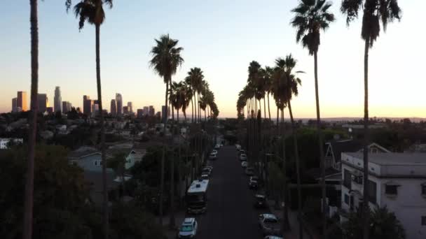 Beautiful Drone Shot Neighborhood Los Angeles California Showing Palm Trees — Stock Video