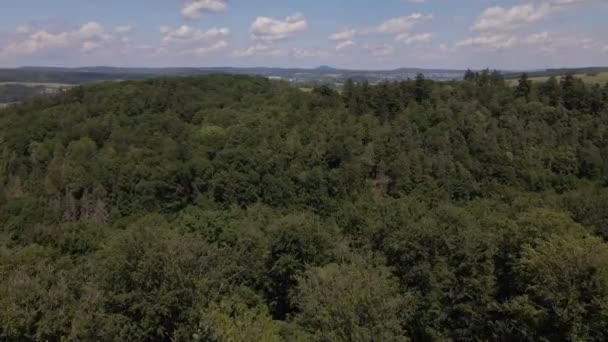 ドイツの田舎の落葉樹の緑豊かな緑の茂みの上に柔らかい積雲の空中映像 — ストック動画