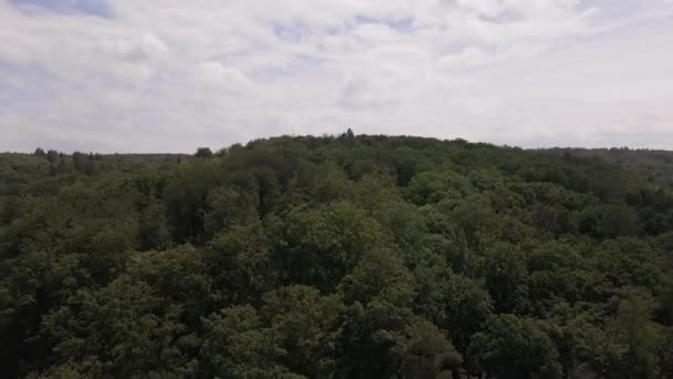 Wide Angle Booming Shot Dense Deciduous Forest Cloudy Sky Summer — стокове відео