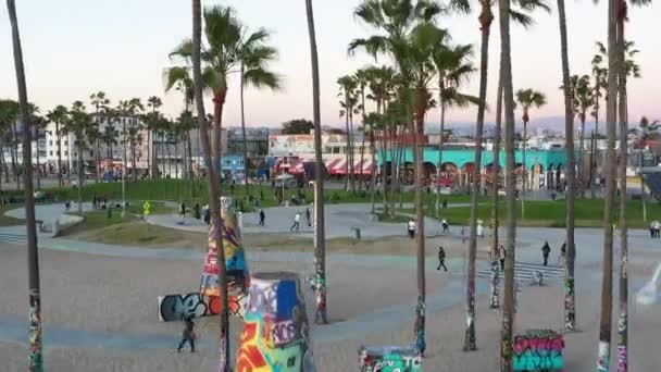 Drone Shot Venice Beach Boardwalk Sunset Showing Palm Trees Graffiti — 비디오
