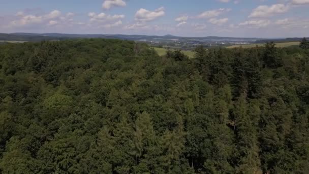 여름에 서부의 지역에 낙엽수의 모습을 공중에서 — 비디오