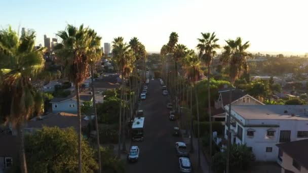 Beautiful Drone Shot Neighborhood Los Angeles California Showing Palm Trees — Wideo stockowe