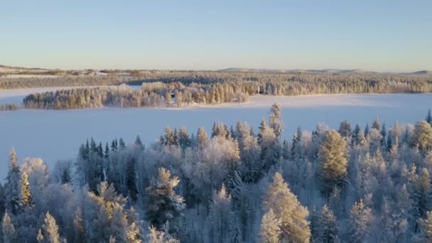 Luftaufnahme Fliegt Über Schönen Schneebedeckten Kiefernwald Richtung Skandinavischer Berge — Stockvideo