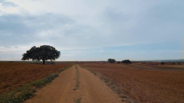 Alentejoの小さな田舎道の広いショット 遠くにコルクの木 農業分野 曇った青空 — ストック動画
