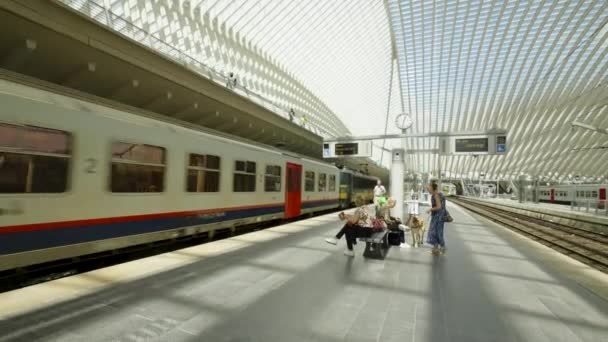 Platform People Waiting Train Liege Guillemins Railway Station Designed Santiago — Stockvideo