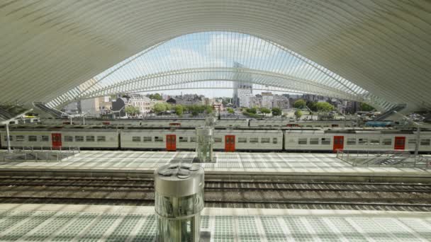 Passenger Train Leaving Liege Guillemins Railway Station Belgium Steady Shot — Wideo stockowe