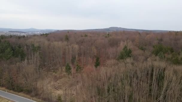 Aerial Footage Yet Blossoming Deciduous Trees Overcast Spring Day Wide — Stok video