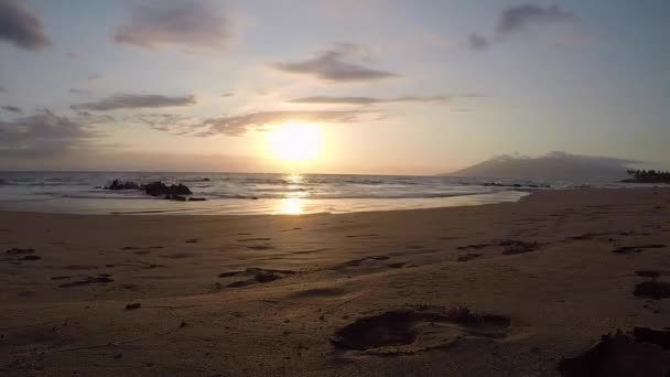 Sunset Timelapse Crabs Playing Sand Olenalena Beach Maui Hawaii — ストック動画