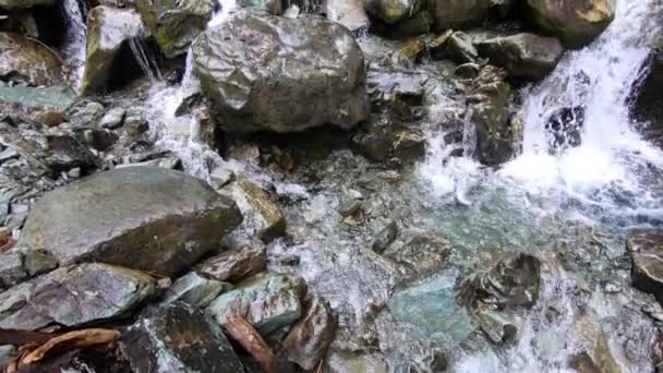 Nice Flowing Waterfall Singing Pass Trail Whistler Canada — Stok video