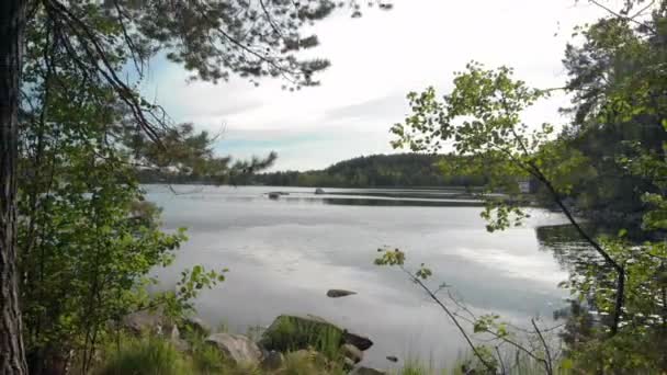 Revealing Path Leading Calm Lake — 비디오