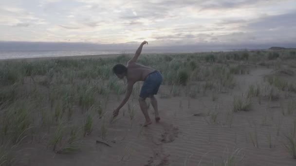 Dancing Beach Grass — Vídeos de Stock