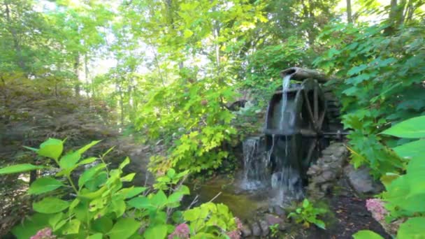 Waterwheel Forest Background — Vídeo de Stock
