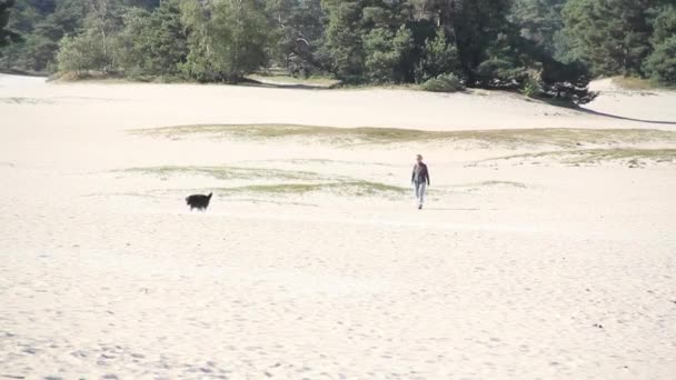 Dog Owner Walking Sand Dunes — Vídeos de Stock