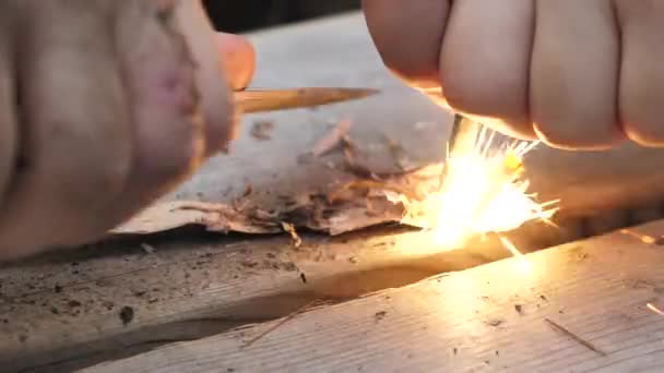 Using Magnesium Fire Starter Light Pieces Birch Bark Fire — Stockvideo