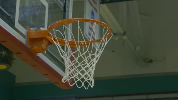 Four Basketballs Shot Basket Fall Practice — Stok video