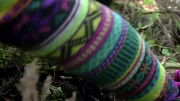 Woman Falls Gets Forest Ground Sports Shoes — Stockvideo