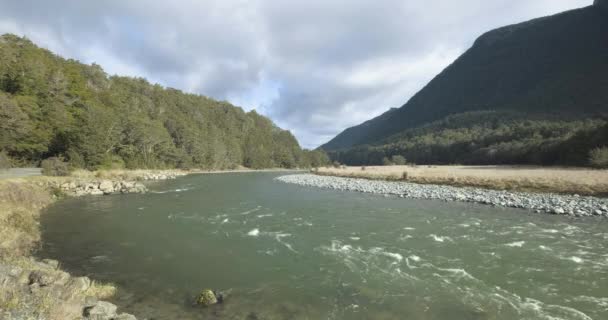 Running River Surrounded Lush Forrest Mountains New Zealand South Island — Stockvideo