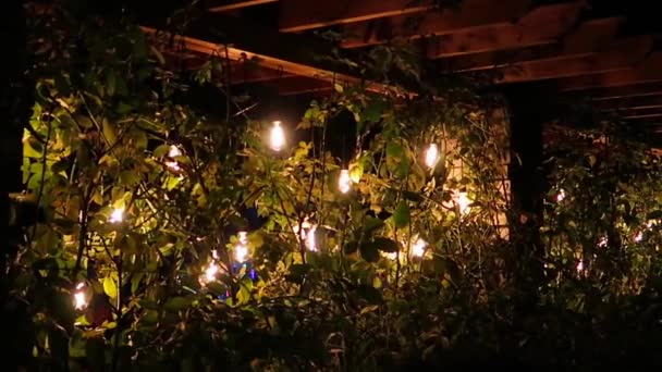 Hanging Lightbulbs Warm Orange Glow Hanging Vine Arch — Stock Video