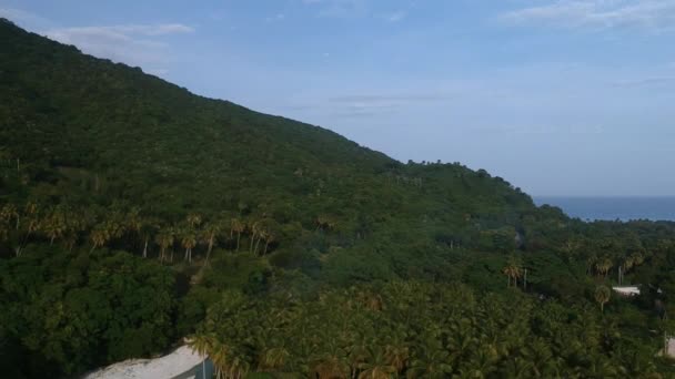 Wide View Tropical Island Setting Thick Green Vegetation Side Mountain — Video Stock