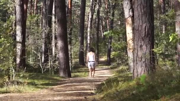 Flicka Promenader Skogen — Stockvideo