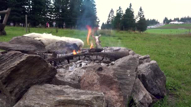 Camping Fireplace Made Out Rocks – stockvideo