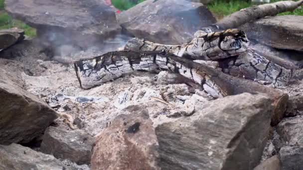 Closeup Smoky Campfire White Wood Logs — Stockvideo