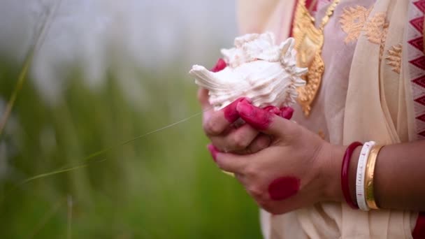 Hands Newly Wed Indian Woman Wearing Saree Holding Shankha Conch — Video Stock