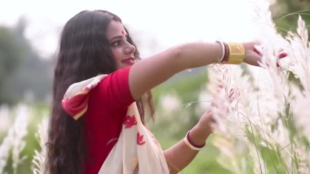 Playful Beautiful Indian Bengali Married Woman Plays Kaash Phool Saccharum — стоковое видео