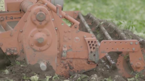 Field Beng Plowed Tractor — Stockvideo