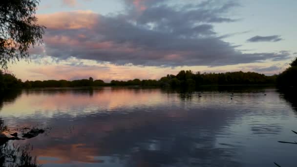 Static Shot Peaceful Lake Sunset — Stockvideo