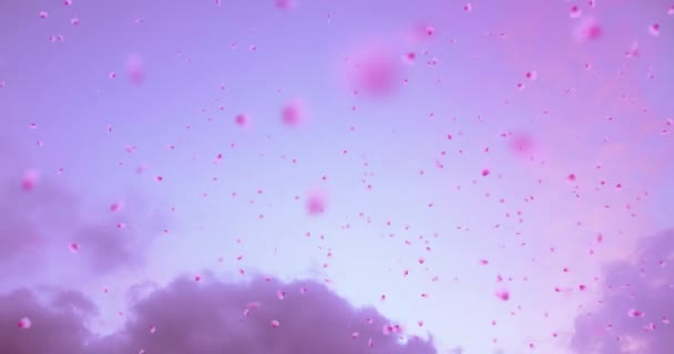 Хорошая Анимация Цветущих Лепестков Сакуры Сакура Развевающихся Ветру Облачном Фоне — стоковое видео