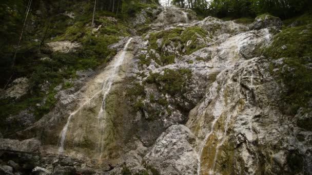 Palenk Waterfall Logarska Valley Slovenia Alpine Creek Cascading Rocks Steady — Stock video
