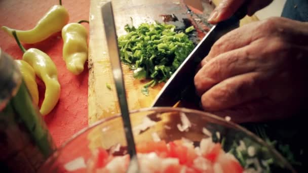 Close Chef Cutting Coriander Cutting Board Add Salad — Vídeo de stock