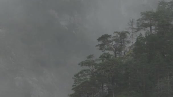 在斯洛文尼亚洛加尔斯卡多里纳的阿尔卑斯山谷 下着雨 云雾缓缓地在树后移动 高山天气难以预测 登山者和登山者面临着危险 房地产热 时间流逝 — 图库视频影像