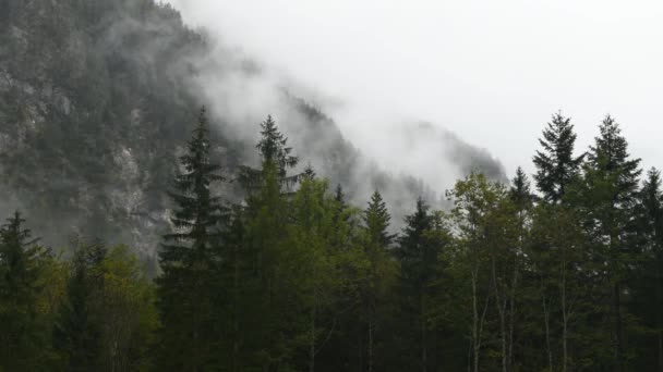 Rainy Day Alpine Valley Low Clouds Logarska Dolina Slovenia Clouds — Vídeo de Stock