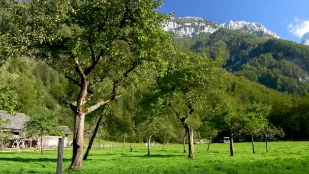 Apple Orchard Autumn Mountains Background Logarska Dolina Slovenia Slow Pan — Stok video