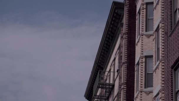 Запись Какого Здания Нью Йорке — стоковое видео