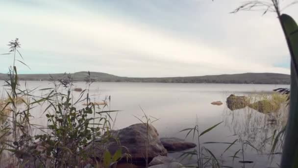 Revelando Lago Sereno Calmo Atrás Grama Mar — Vídeo de Stock