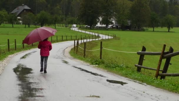 田舎道で雨の中を歩く傘の速いペースの女の子 背景に農家 高山渓谷 後ろから離れて直面して — ストック動画