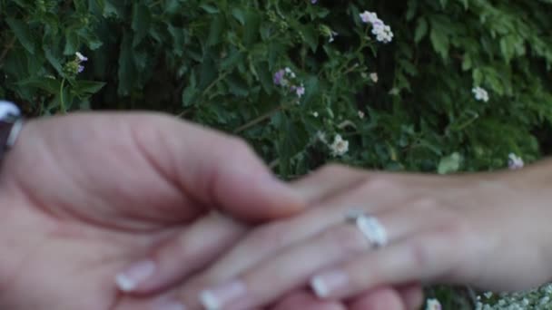 Rack Focus Close Bride Groom Holding Hands Green Garden Background — Stockvideo